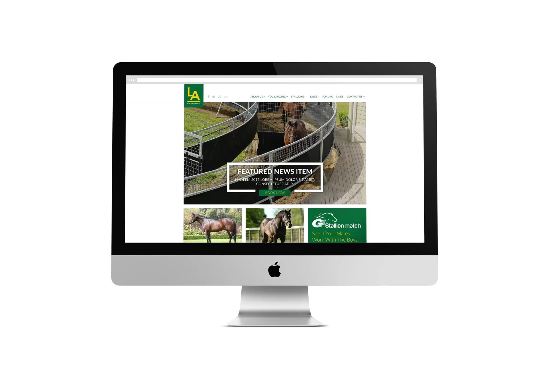 Little Avondale Stud Website